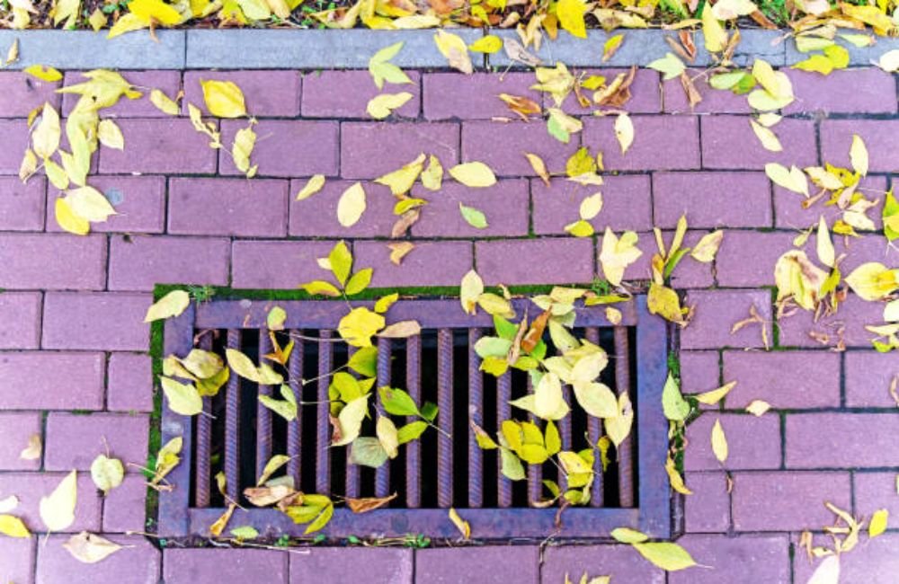 Clogged Patio Drain Cleaning in Santa Rosa, CA