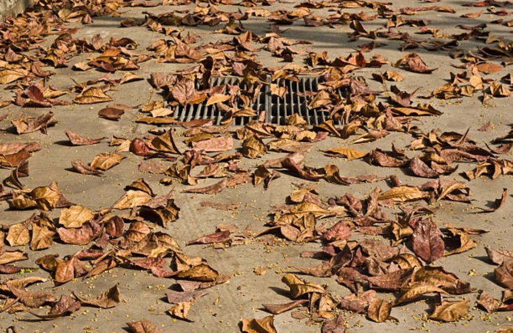 Clogged Patio Drain Cleaning in Santa Rosa, CA