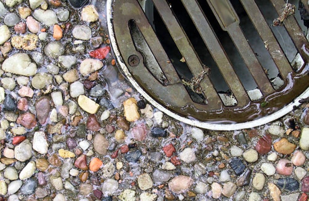 Clogged Patio Drain Cleaning in Santa Rosa, CA