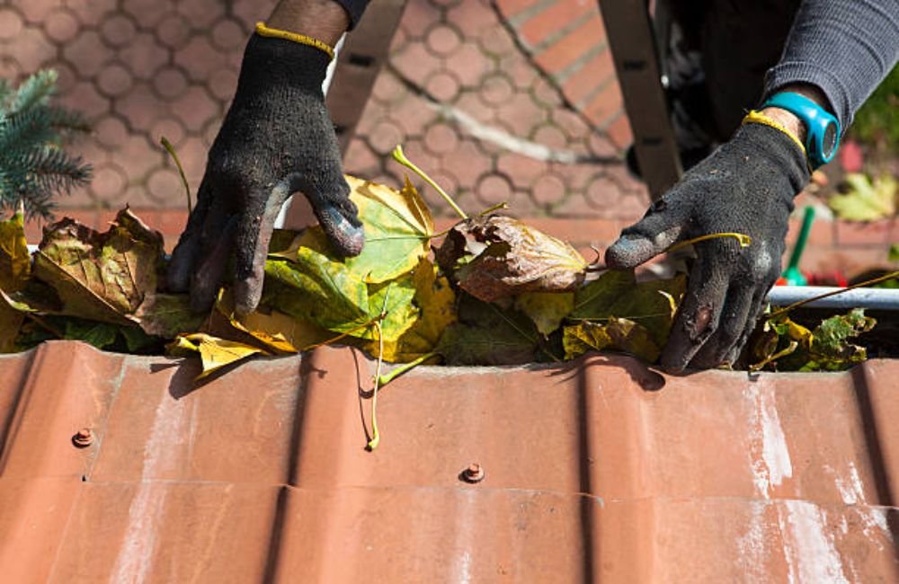Clogged Roof Drain Cleaning in Santa Rosa, CA