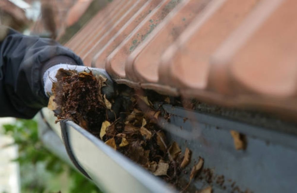 Clogged Roof Drain Cleaning in Santa Rosa, CA