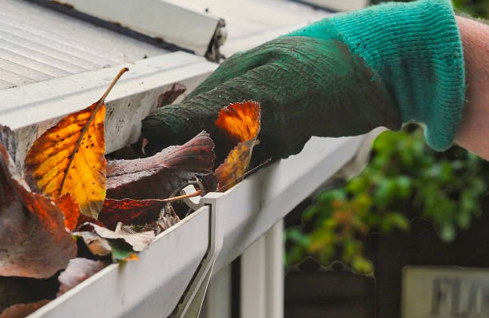 Clogged Roof Drain Cleaning in Santa Rosa, CA