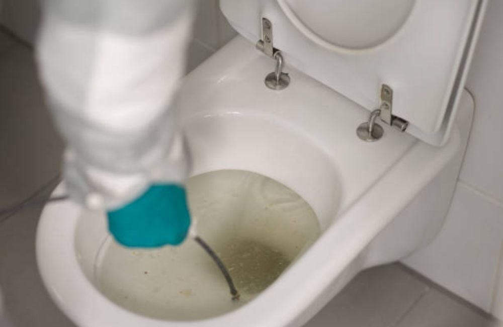 Clogged toilet repair in Santa Rosa, CA