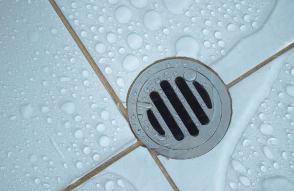 Floor Drain & Mop Sink Cleaning in Santa Rosa, CA