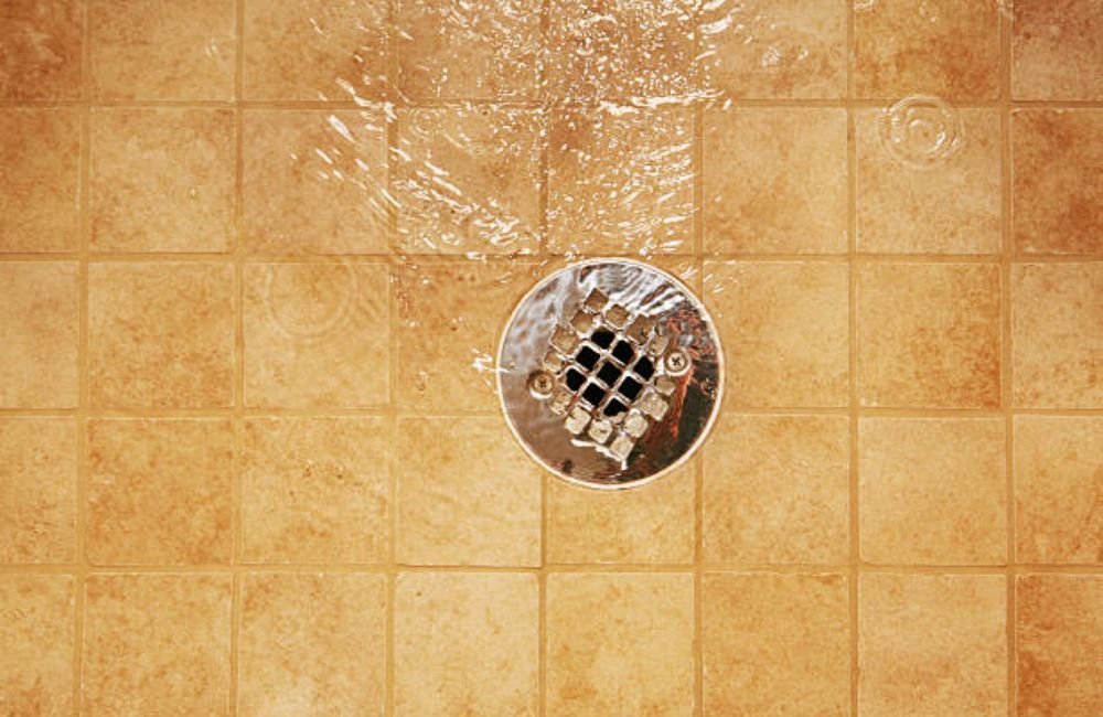 Floor Drain & Mop Sink Cleaning in Santa Rosa, CA